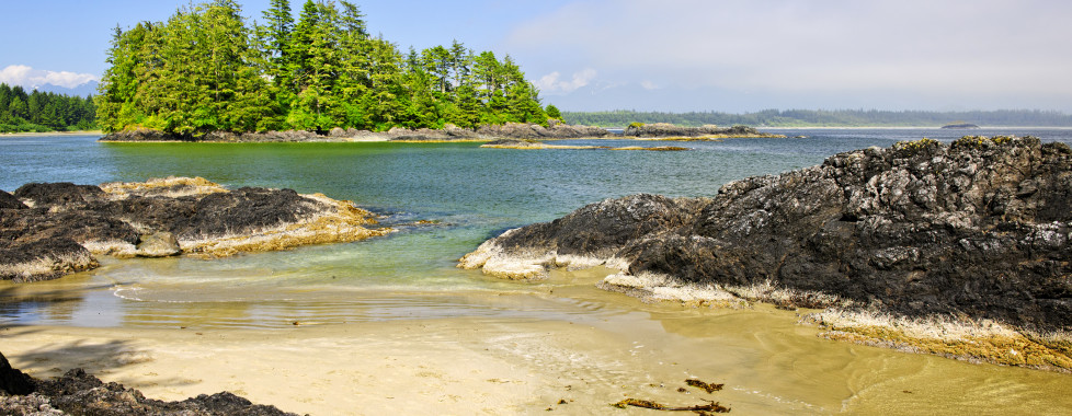Tofino