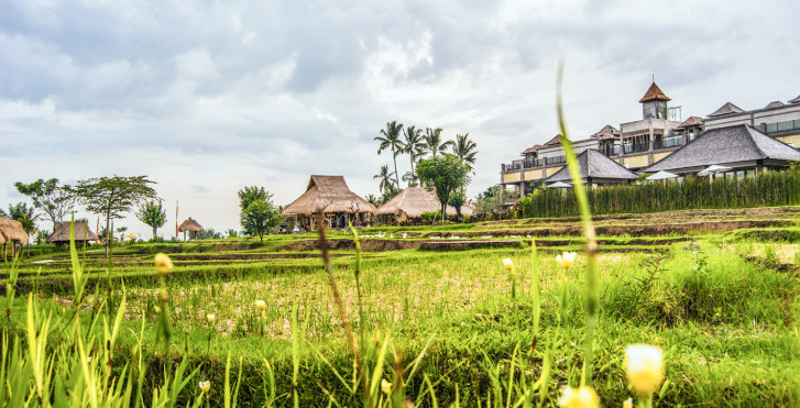 Desa Visesa Ubud