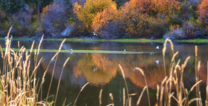 Klamath Falls