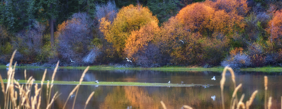 Running Y Ranch, Klamath Falls - Migros Ferien