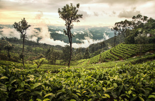 Tout le Sri Lanka