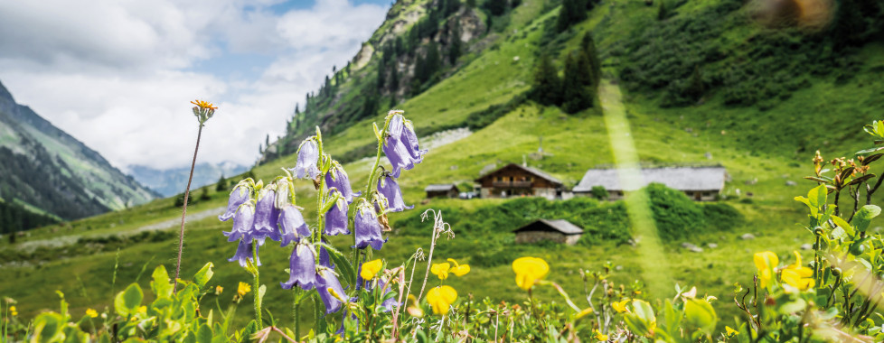 Das Schäfer - été, remontées incl.*, Vorarlberg - Vacances Migros