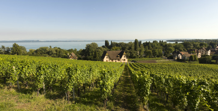 Pays des Trois-Lacs
