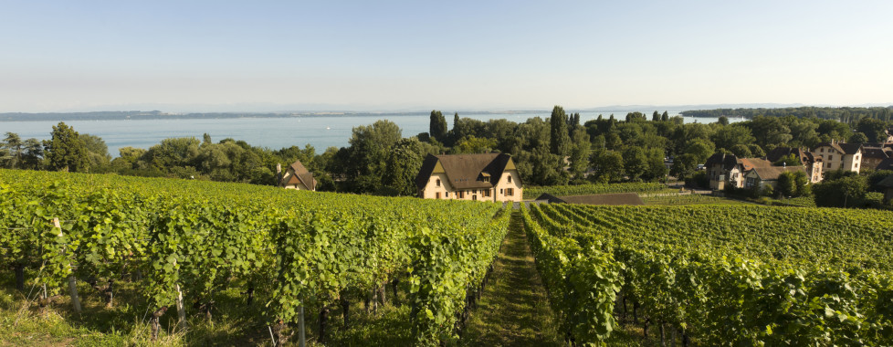 Hôtel La Prairie, Pays des Trois-Lacs - Vacances Migros