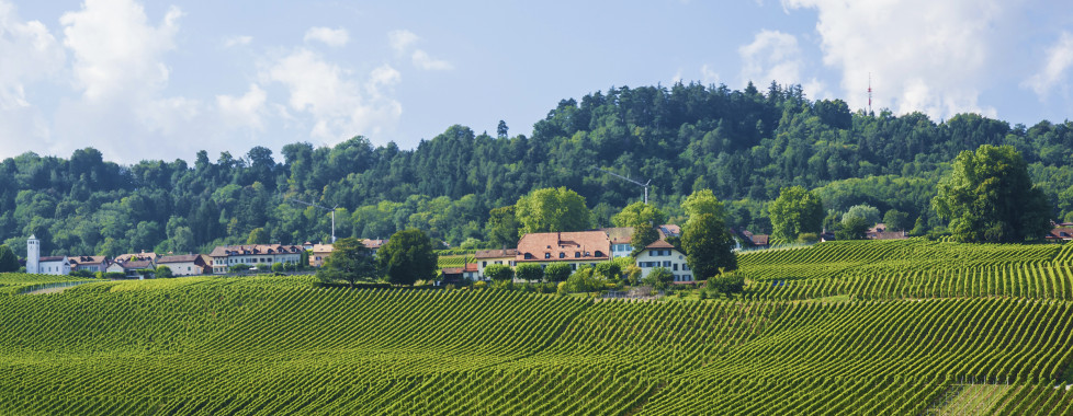 Paysages d’Yverdon-les-Bains