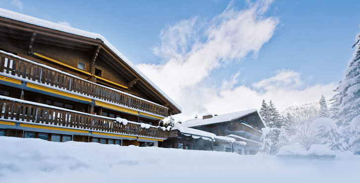 Alpine Lodge - forfait ski