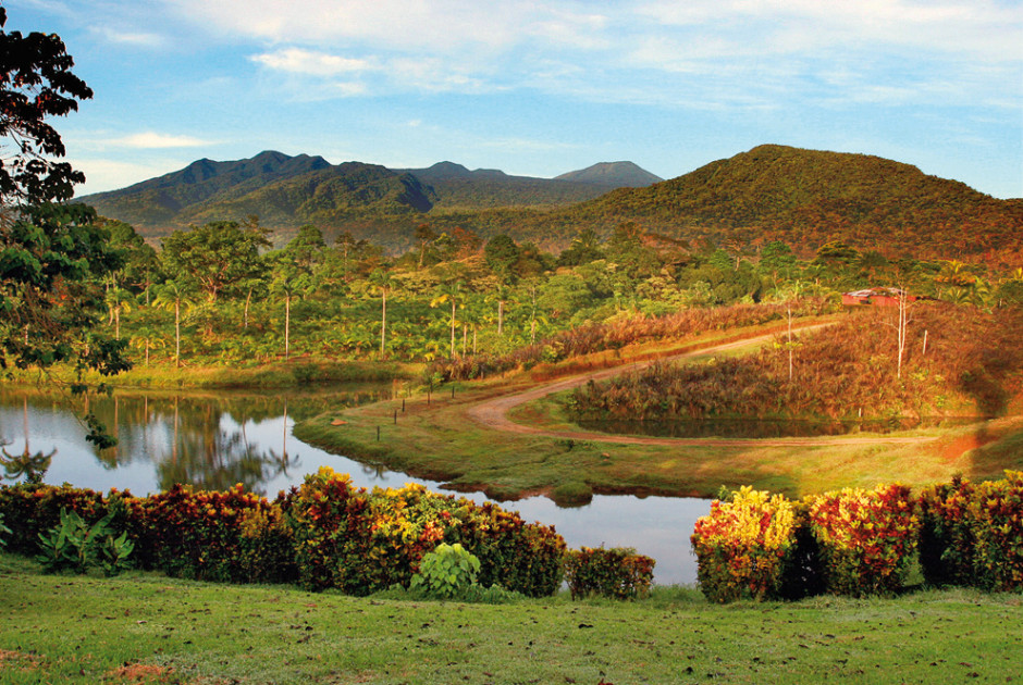 La Anita Rainforest Ranch Centre et nord du Costa Rica (Costa Rica)