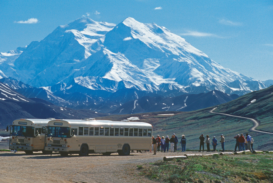 Ausflug Ab Denali National Park Usa Denali Tundra Wilderness Tour