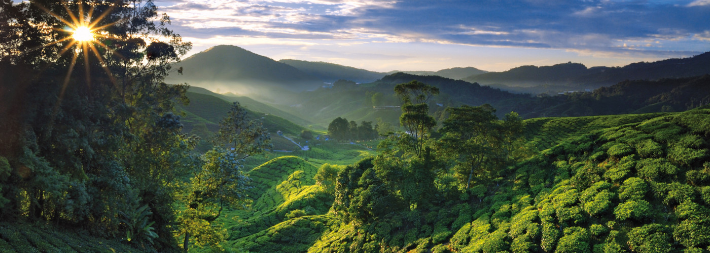 Cameron Highlands, Malaisie