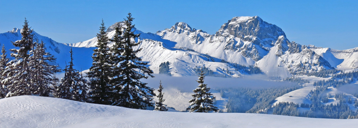 Sicht auf den Berg Videmanette, Gstaad