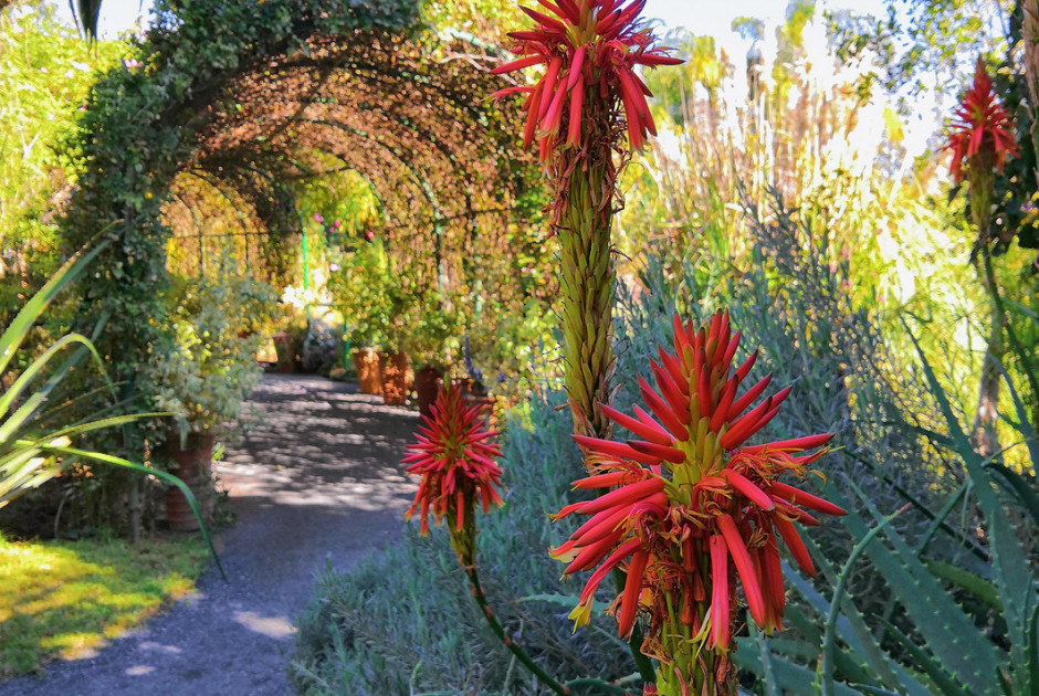 Ausflug Ab Marrakesch Marokko Garten Und Paradiese