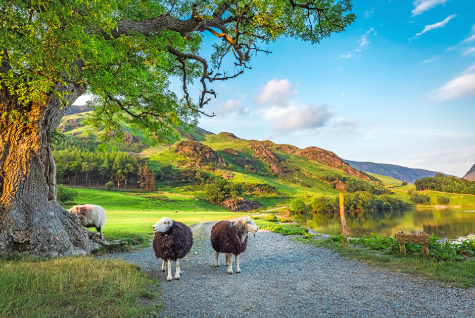 Excursion Au Depart De Lake District Grande Bretagne Lake District Tour