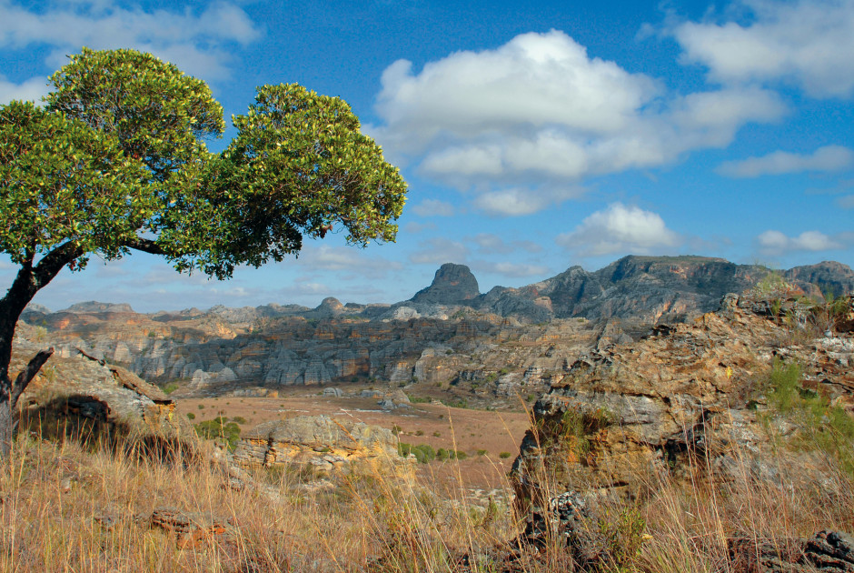MadagaskarRundreise Madagaskar Première ab/bis Antananarivo